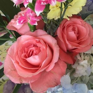 Meet your Posher, Diane